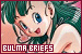 Characters: Bulma Briefs Characters: Bulma Briefs